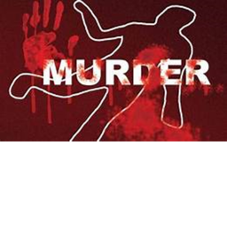 murder simulator