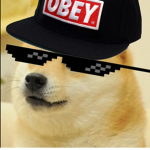 The dank doges