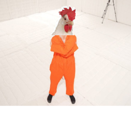 Chicken Insane Asylum