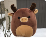 Squishmallow fan club:)