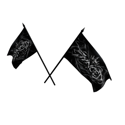 Synced Double Flag