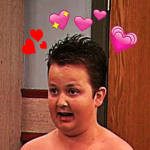 The icarly fans
