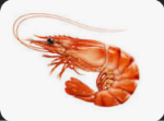 crustacean empire
