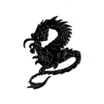 The Forgotten Shadow Dragons!