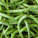 bean campers