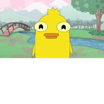 The DuckRights Movement