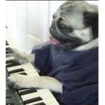 JacksonStudios