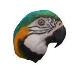 Macaw head