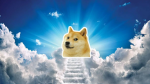Doge's kitchen hangout