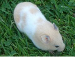 Best clothes for you...