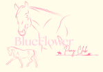{ BlueFlower pony club }