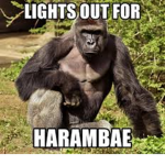 monke brotha