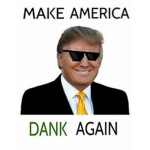Dank Memes Yeet