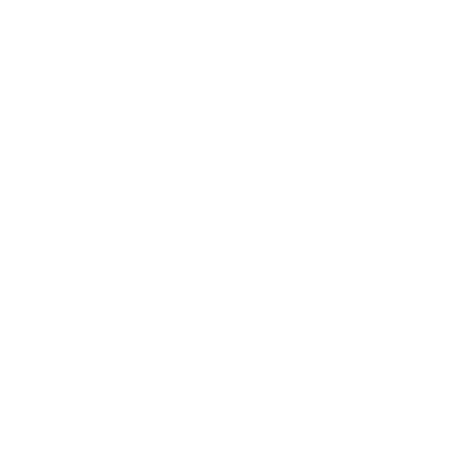 Mirror Animation