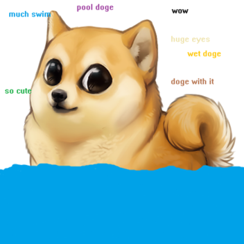 Doge Pool Party!!