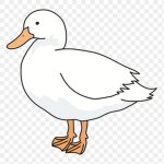 Be the Duck