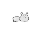 MINI CHINCHILLAS