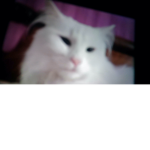 Hola23456