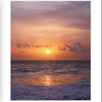 Sloth sunset_Mia