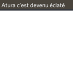 Projet 319 ratp