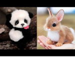 Panda and bunny army