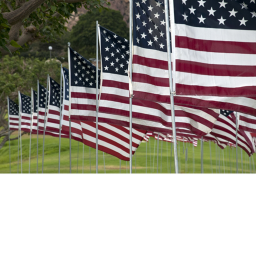 Get The Flag!!