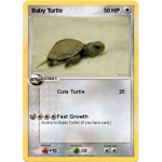 Turtle Fan Squad