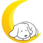 Sleepy-Studios