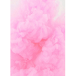 Pink girlz rock