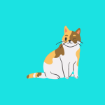 CAT WRECK STUDIO