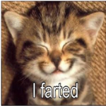 cat evolution