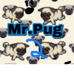 Mr.Pug 2