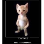 Church of Tomtayleism