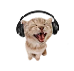 Kyova Group Thumbnail