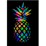 Rainbow pinaple