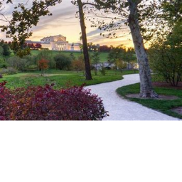 park