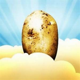 Potato Museum