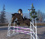 The Equine Club