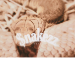 $nakezz
