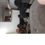 Mah dugie wuggies
