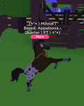 Spooky Riders