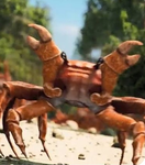 The KING Crab