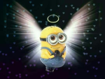 Meow_angel