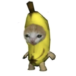 ʀᴏsᴇǫᴜᴇ