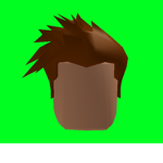 The Official ROBLOX Donation Society