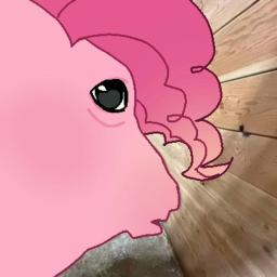 Xo