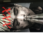 The monster siren head