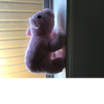 .Piggy Group.