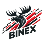 {BINEX}