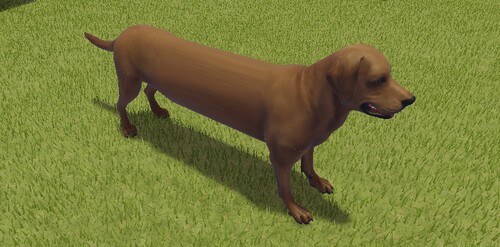 Stink Dog Mountain